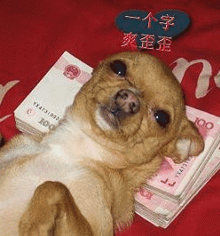 坑爹图片表情包搞笑gif