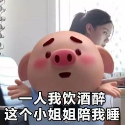 社会你猪哥人萌话不多最萌猪小屁表情包