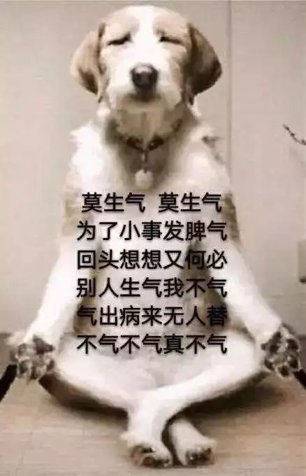 老婆发脾气,一嘢扔了老公的279万翻7千吨垃圾都没找到,要闹离婚最后