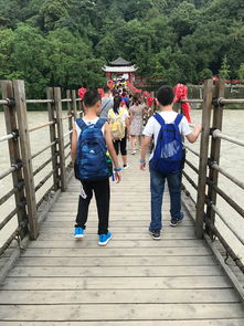 带着一群娃儿成都自由行超长篇幅,超多图片,入者需谨慎,成都旅游攻略马蜂窝