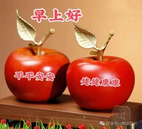 2024年6月20日周四早安图片祝福语,试着不为明天而烦恼,不为昨天而叹息,只为今天更美好周四早安周四早安如花快乐早上好清晨祝福语手机网易网