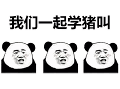 抖音跪拜表情包猪叫
