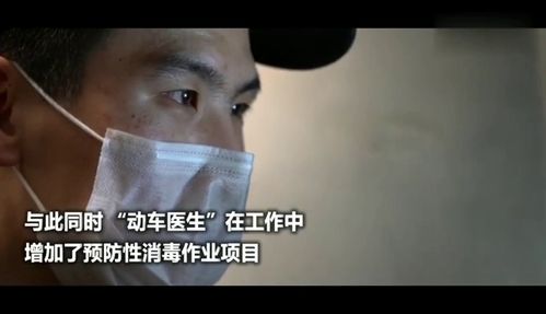 准备好了武汉230组高铁动车整装待发
