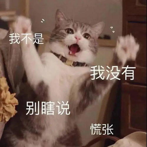 表情包丨我不开心你也别好过