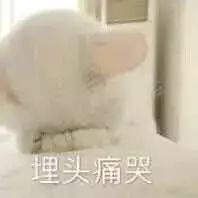 小花派福利武汉的初雪,不敌来自星星的你