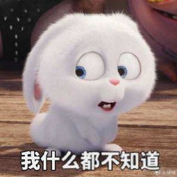 畅秀阁冷訫视频直播全集畅秀阁冷訫资料大全yy官方