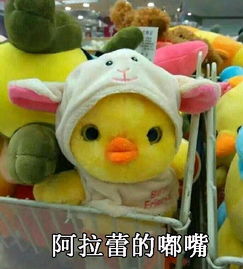 动物明星脸表情包