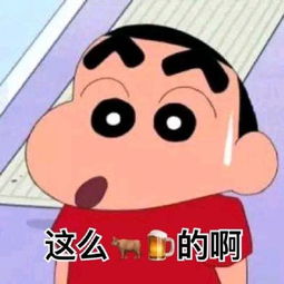 最搞笑的表情包蜡笔小新