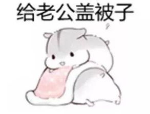 喜欢的表情包可爱七夕
