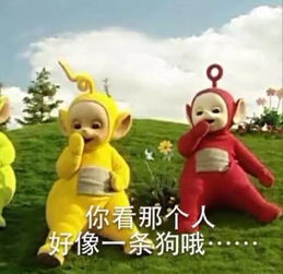 天线宝宝表情包无字版新西游记