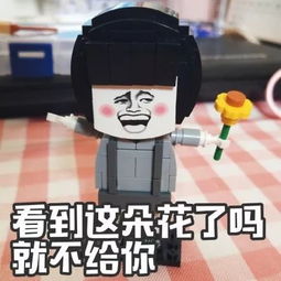 记第一次拼积木,蘑菇头表情了解一下