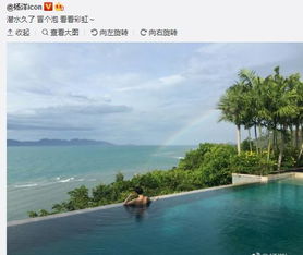杨洋晒游泳照片却遭宋祖德怒喷一个快三十岁的男人,天天装嫩
