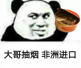 近日超火表情包给大哥献女朋友