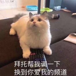 开学季福利收完这套初中全科资料,把开学安排得明明白白
