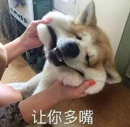 拿命催婚孙女不带男朋友来,奶奶坚决不上手术台