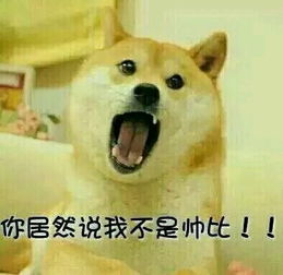 史上最全的doge表情包,伸手党不要错过