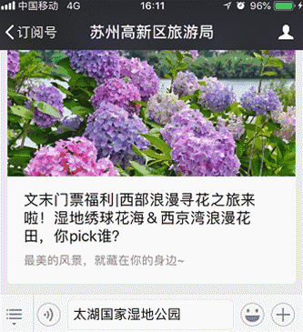 惊艳岁月媲美日本镰仓的绣球花海,pick一下文末福利