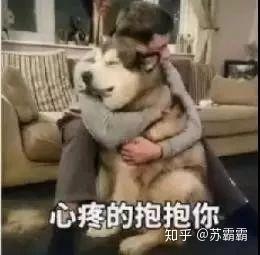 有没有很舔很舔的话,学习下