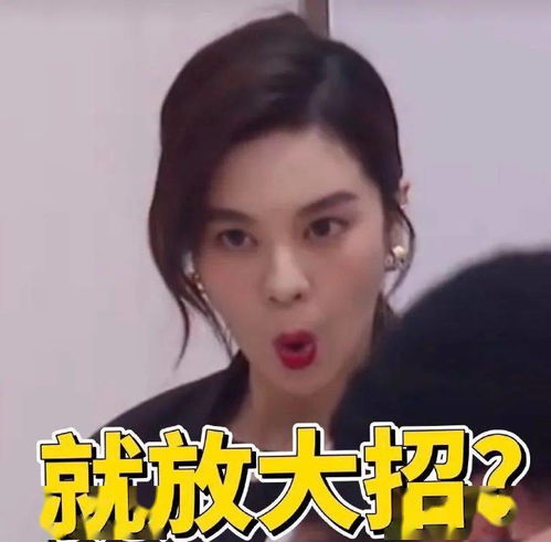 爱豆表情包乘风破浪的姐姐