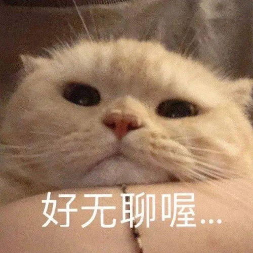 表情包图片快删除,脑子里有画面了