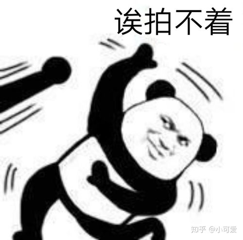 怼微信拍一拍的表情包