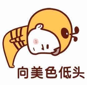 老公老婆日常聊天表情包,情侣必备