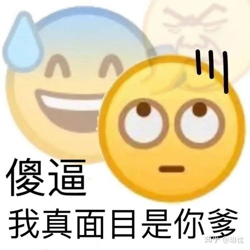 你有哪些关于王思聪和孙一宁事件的表情包和经典语录,可以分享一下吗
