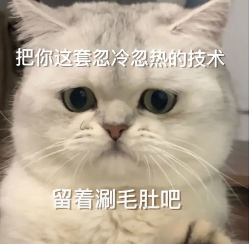 和对象聊天必备表情包,快来接收叭