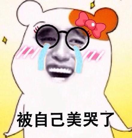 仓鼠表情包合集开心的飞起来