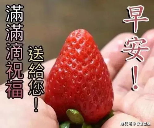 炎热天气早上好动图表情包图片带字,夏天早安问候祝福语图片大全动图2021