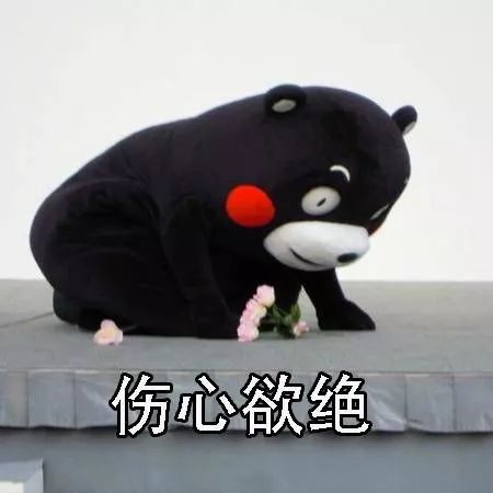 圣诞头像...