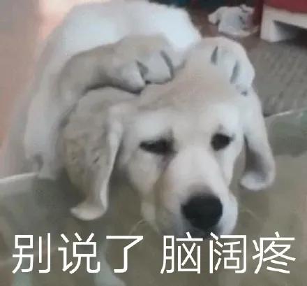开学季第一考,纪雅初二数学这样考