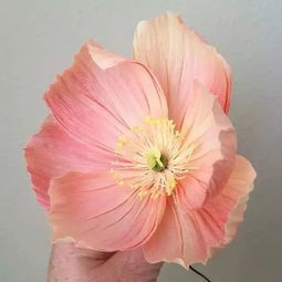 用纸做的鲜花,栩栩如生太动人了
