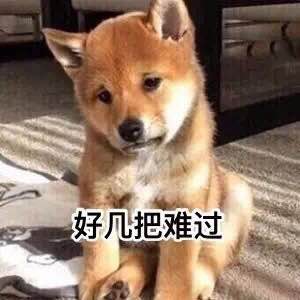 叹气表情包哭泣