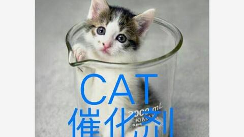 法学生表情包合集一