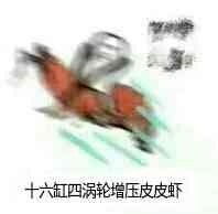 哈哈哈哈海鸥大笑动图表情包动图哈哈哈哈海鸥大笑表情