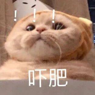 表情包放不下的只有筷子