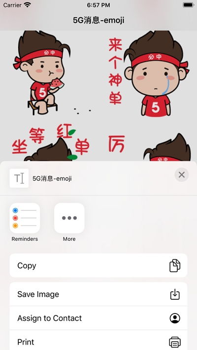 5g消息emoji软件下载5g消息emoji安卓版下载v1.0乐单机