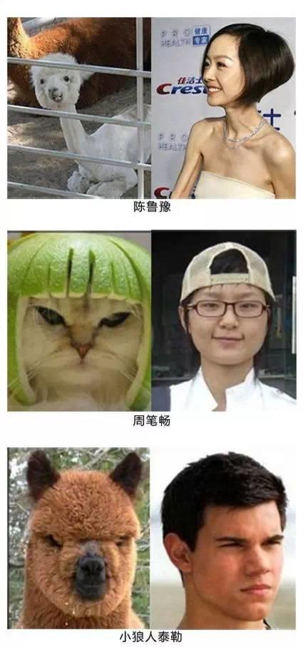 搞笑gif图片说好了看过不准笑,都是他们的弟弟
