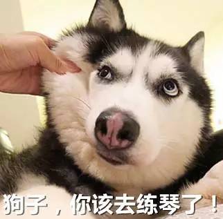 有毒音乐系专属表情包,绝对称霸朋友圈
