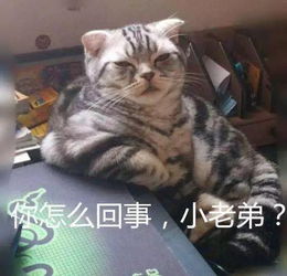 甘肃这个碰瓷男厉害了,你们被他骗过吗
