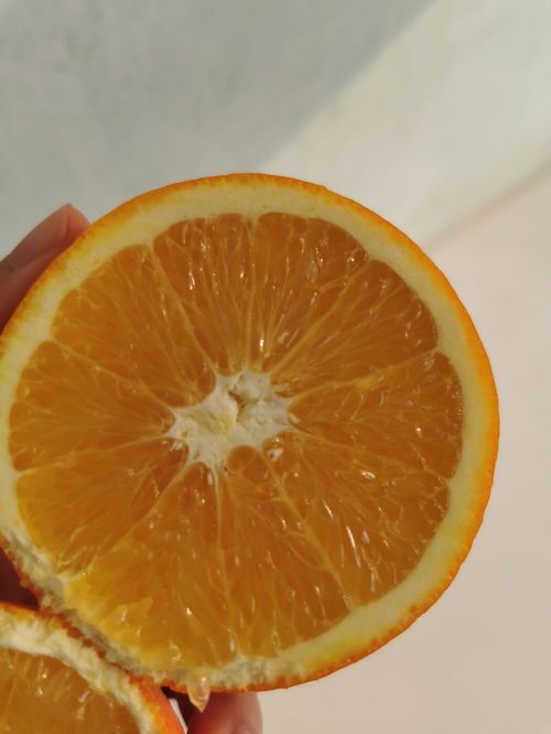 赣南脐橙上市了,怎么样才能买到正宗的赣南脐橙呢