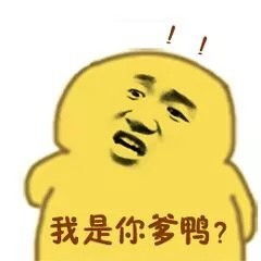 我信你个鬼鸭表情包我是你爹鸭小黄鸭表情包下载乐游网游戏下载
