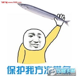 好嗨哟图片表情包冻带鱼