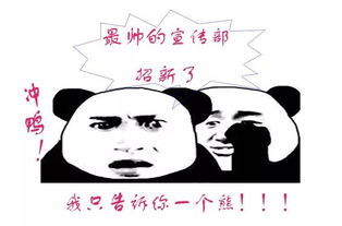 招新信息与电子学院学生团委
