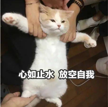 ubras专场穿无痕内衣,只有0次和无数次
