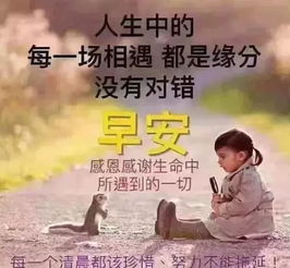 星期二最新漂亮早上好动态美图鲜花带字,早晨好幸福暖心的问候表情图片
