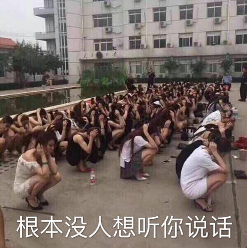 搞笑gif新的挺好的,从来不摔东西