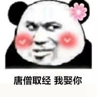 除了转账和娶你表情包微信头像图片大全