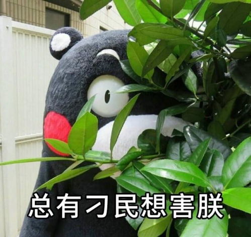 怎么选择非全日制考研的学校而且是一些很考研容易考的师范学校